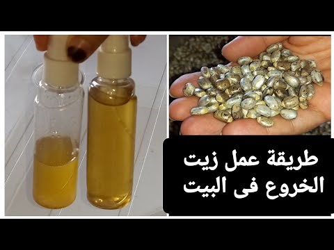 How to make castor oil at home to lengthen and thicken hair