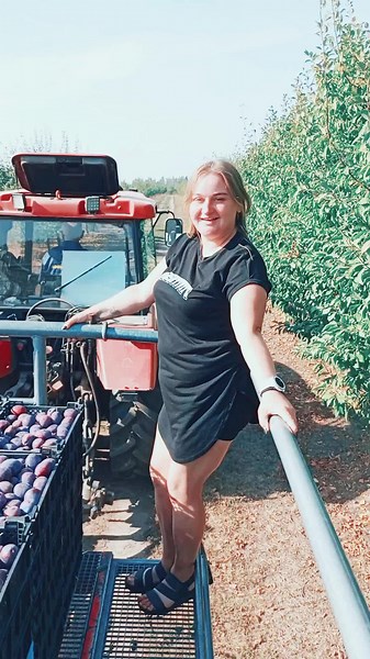 Exploring Plum Picking Techniques in Agriculture