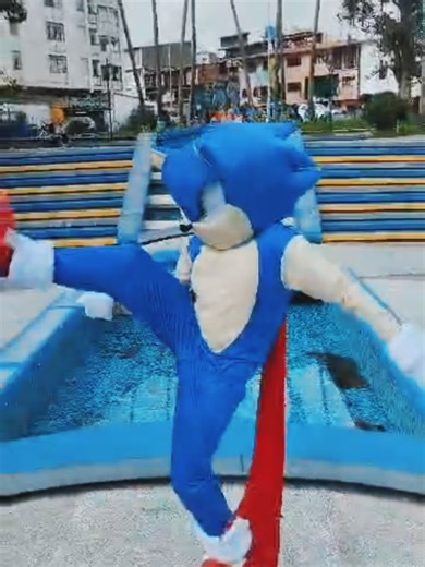 Sonic poses ⚡ #sonic #sonicthehedgehog #sonicmovie #soniccosplay #cosplay