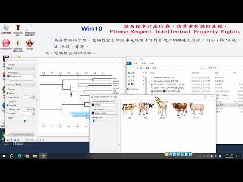Orange Data Mining 影像分析應用