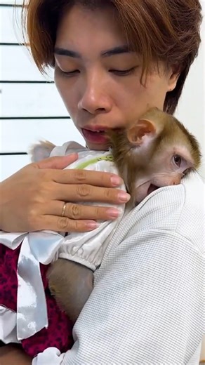 Smart monkey! Kaka takes care of the house while waiting for mom #Monkeykaka | Kaka Page