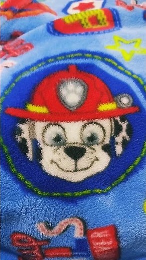 Listos para la Acción! Los Mejores Momentos de Paw Patrol en Español 🎈