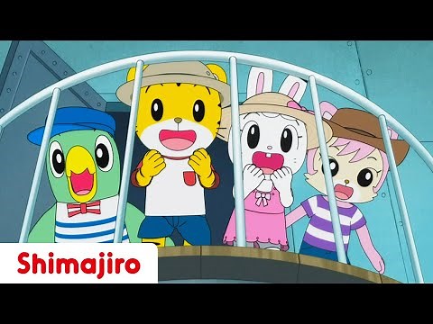 A Series of Fantastic Adventures 🚀 24 Minute | Adventure Special | Kids video for kids |Shimajiro