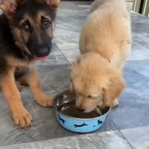 chainavideo on TikTok