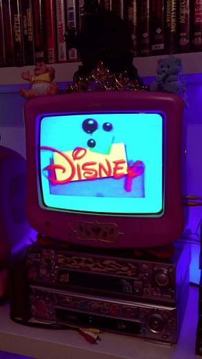 Nostalgic VHS Collection of Disney Princess Movies