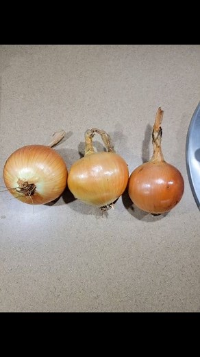 Is driving through Oregon by the Walla Walla exit and finding me some free road onions. | John Johnson