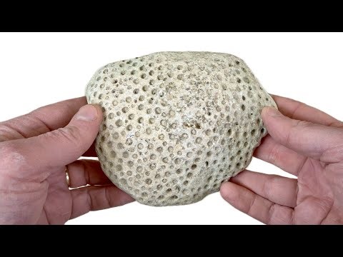 How Do You Think This One Will Polish?