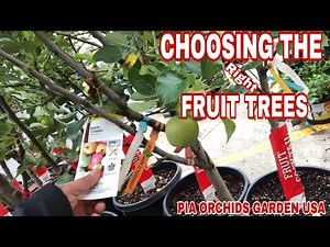 Best Fruit Trees To Choose From Home Depot #PNW 🇺🇸