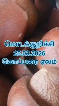 மொடக்குறிச்சி தேங்காய் ஏலம் | 25-03-2026 Copra Rate At Modakurichi #shorts
