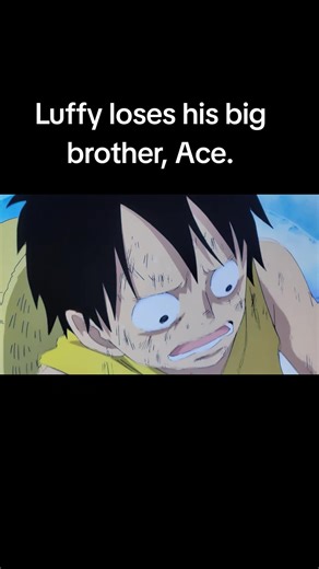 Death of Luffy's Brother