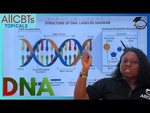 JAMB Biology: Structure & Function of DNA Explained (2026 Guide)