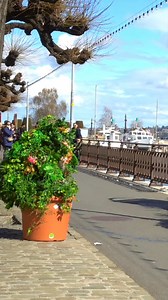 No need to wait.#pranks #funny #laugh#funnyvideos #funnyvideo#funnyfails#fyp #reelsvideos#funnyclips #reels | Bushman prank