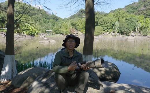 尼康D500  尼康200-500，1万元内性价比超高配置，最强半画幅打鸟神器，4k视频拍摄小翠鸟分享。尼康好兄弟