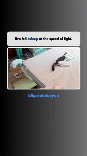 Car disconnected 😂