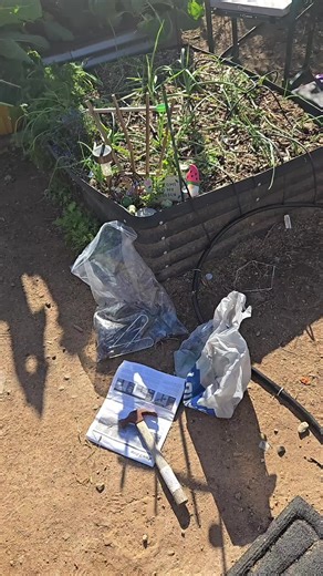 Drip System Install: A Journey of Gratitude in Gardening