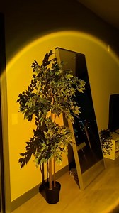 Sunset Lamp Projection LED Lights: Remote, 16 Colors, 360° Rotation, 4 Modes. Perfect for Home Décor and Gifting. 🌅 🛍 Comment "Link" we will send you link to shop #amazonfinds #homehacks #entrywaydecor #amazonhome #amazonmusthaves #amazonfavorites #amazonhomefinds #forthehome #homefinds #founditonamazon #amazonfind #homedecor #dc52 | Classic Home Design