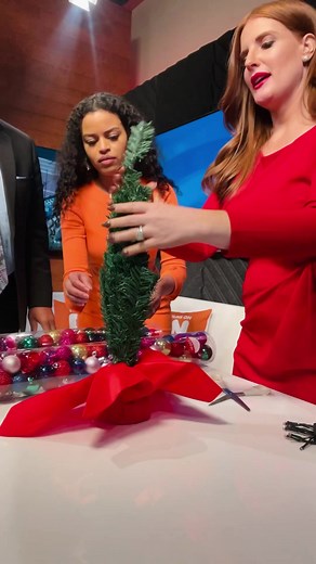 WJZ-TV is proud to be the media sponsor of Kennedy Krieger Institutes Festival of Trees! The theme for our WJZ Morning Team tree is “A few of our favorite things” and to Tim Williams’ horror but Sina Gebre-Ab’s and my delight, our color scheme is pink and glitter! Can you guess whose favorite thing is cold brew coffee? 👀 Don’t miss this beauty and so many others at Festival of Trees this weekend at the Timonium Fairgrounds. It’s all to benefit the amazing work of Kennedy Krieger! #WJZ #BeOnWJZ 