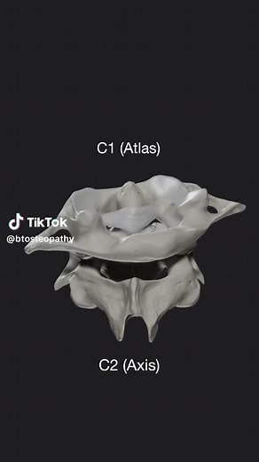 BT.Osteopathy on TikTok