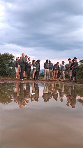 To be a field guide is to have a genuine love of the wild and the ability to inspire that love in others. Here we encourage you not only to learn from stories told around the crackling fire but also to use your own talents and passions to shape the future of field guiding. 📍 MORE Field Guide College part of @morefamilycollection #fieldguide #guidingcollege #safaricollege #MOREFieldGuideCollege #MOREFamilyCollection | MORE Field Guide College