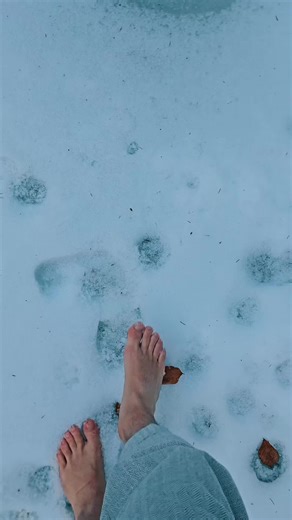 Jodok Cello (@jodokcello)’s videos with Aurora - Casskia