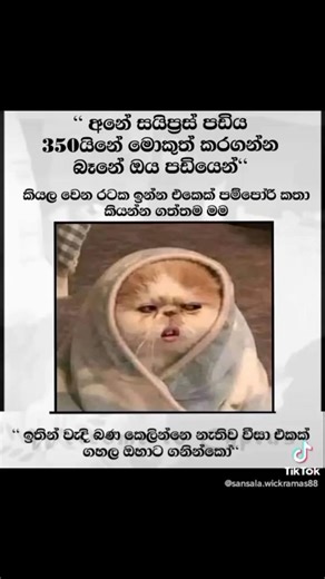 🤣🤣🤣🤣🤣🤣🤣🤣