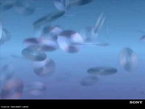 TRANCE VISIONS- Jeckyll & Hyde- Freefall (Exd Mix)