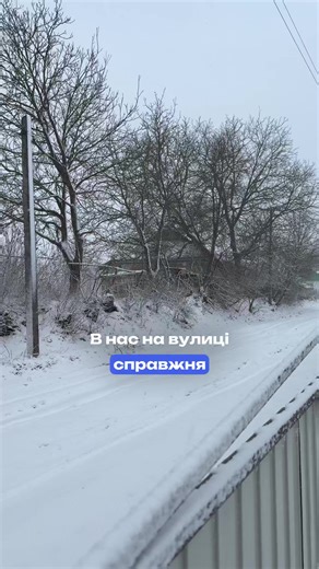 А сьогодні в нас на вулиці справжня зима 🥶 #зима #сніг #хурделиця❄️☃️❄️