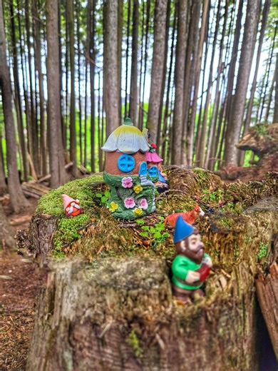 The Gnome Trail in Seabrook, Washington winds through the woods behind the Mill District and leads down toward the beach. You’ll see tiny gnome homes, fairy doors, and little displays along the path. 🍄🧚‍♀️ Seabrook is a coastal town, and if you follow the trail it continues until you arrive at the beach. 🌊 #Washington #GnomeTrail #pnw #washingtoncoast | The PNW Bucket List