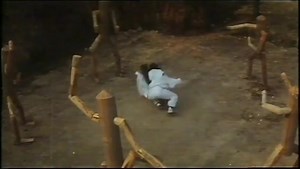 "Grandmaster Hwang Jang Lee's training sequence from Instant Kung Fu Man." #HwangJangLee #TheThunderLeg #TheSilverFox #InstantKungFuMan #Legend #Superkicker | Divyarup RoyChowdhury