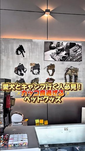 バンコクの激レアペットショップへ突撃！ミリタリーギアがカッコ良過ぎた#犬 #いぬ #キャンプ #キャンプギア #愛犬 #ペットグッズ #ペット #犬のいる暮らし #タイ #ペット用品#おしゃれ