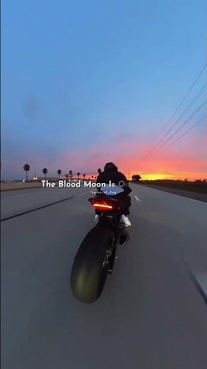 I’m on My Way (Lyrics) - Song by The Proclaimers | musicvideo | songlyrics | vibes | Aesthetic | New