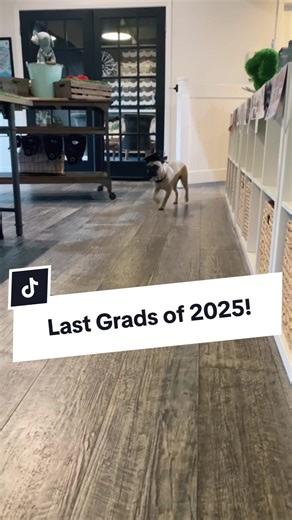 Every year, we get to work with the most incredible puppies and their families! 🥰 It's never just about puppy training. It's about supporting new puppy parents every step of the way — taking the stress out, creating a strong bond, and setting each pup up for lifelong success. So proud of our 2025 grads... and already looking forward to our 2026 pups! 🐶 #puppyschool #puppyhoodmadeeasy #puppyparents #puppytraining #thepuppyacademy