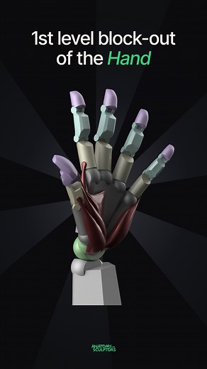 50K views · 500 reactions | Making of the 1st level block-out of the human hand. In this screen recording, Uldis takes some basic shapes and sculpts them to represent the curves and forms of the organic model. Made for our upcoming book – back it now on Kickstarter: kck.st/3FH4tlx | Anatomy For Sculptors | Facebook