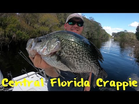 Central Florida Crappie Fishing