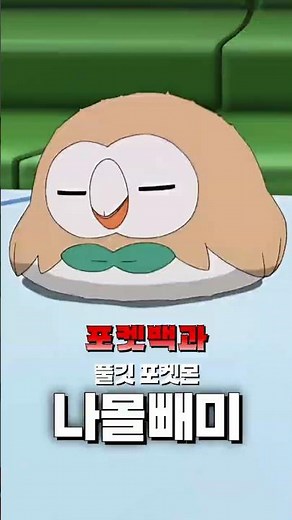 [포켓백과] 풀깃 포켓몬 '나몰빼미' 편