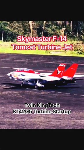 Turbine Startup - Skymaster F-14 Tomcat #skymaster #rcwarbird #f14 #f14tomcat #rcjet #kingtech