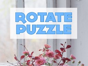 Rotate Puzzle 🕹️ Play online on SGameS