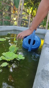 bunso Annie Snow taga vid | Lyle Felia