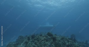 Cozumel.Reef and submarine. Mexico. Underwater video.