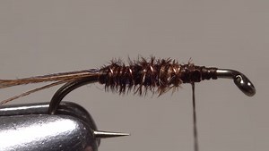 The Flashback Pheasant Tail Nymph - Trout Unlimited