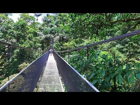 Ponts Suspendus Mistico Park, Volcan Arenal / La Fortuna, Costa Rica