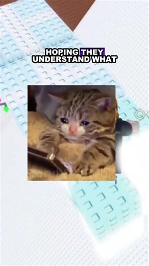 ROBLOX SAVE CHAT IS BACK #roblox #robloxedit #robloxshorts #robloxstory #storytime