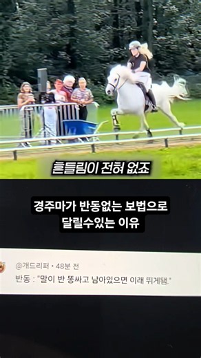 Why this racehorse runs with such a smooth, jolt-free gait #SHORTS