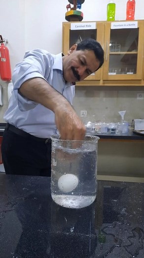494K views · 3.1K reactions | Egg Vortex|| #reel #science #Vortex #experiment #highlights @topfans | Science with Asif | Facebook