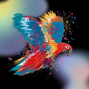 SOOR ( PDF converter)