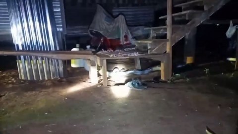 Cobra and python found in tussle under woman's home