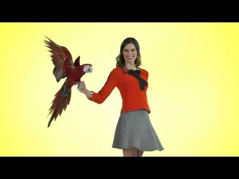 Cache Cache - Nouvelle collection Printemps / Eté 2016