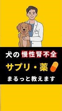 【これだけ押さえればOK】犬の慢性腎不全のサプリ・薬まるっと教えます