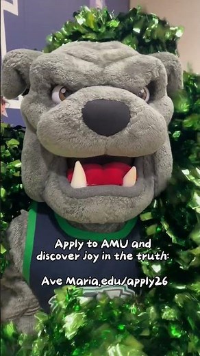 Finding Joy, Faith, and Purpose at Ave Maria University