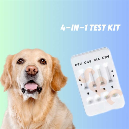 Coccidia Test for Dogs Canine Cryptosporidium Parvum (Crypto Ag) Home Test Kit